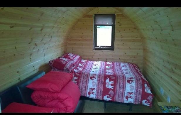 Hôtel Meadow Glamping à Carmarthen Extérieur photo